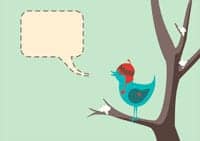 Vector Illustration - Winter Bird and Speech Bubble