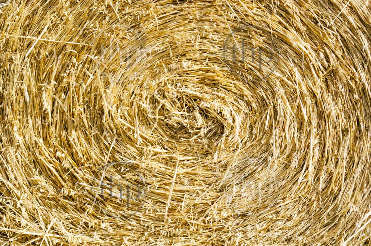 Close Up Of Golden Circular Hay Bale Thpstock