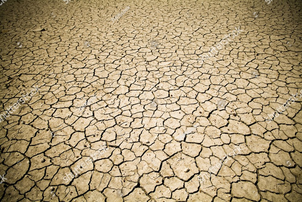 Badly cracked earth under a scorching sun, as global warming background -  THPStock